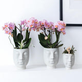 Kolibri Home | Face to face bloempot - Witte keramieken sierpot - Ø6cm - plantforyou.nl