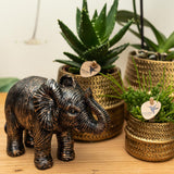Kolibri Home | Groove bloempot - Gouden keramieken sierpot - potmaat - Ø6cm - plantforyou.nl