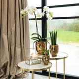 Kolibri Home | Face to face bloempot - Gouden keramieken sierpot - Ø12cm - plantforyou.nl