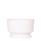 Kolibri Home | Diabolo white dish - plantforyou.nl