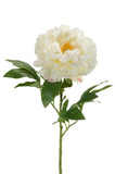 Kunstbloemen Solo - x 5 - 65cm - Peonies - Crème - plantforyou.nl