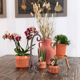 Kolibri Home | Retro terracotta bloempot - terracotta kleurige keramieken sierpot - Ø9cm - plantforyou.nl