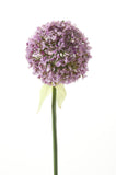 Kunstbloemen Solo - x 7 - 70 cm - Allium Flower - Purple - plantforyou.nl
