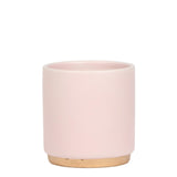 Kolibri Home | Gold foot pink bloempot - Roze keramieken sierpot met gouden rand - Ø9cm - plantforyou.nl