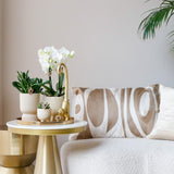 Kolibri Company | Gift set Luxury Living| Plantenset met witte Phalaenopsis Orchidee en Succulenten incl. keramieken sierpotten - plantforyou.nl