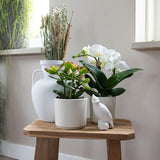 Kolibri Home | Pitcher vaas - Witte cementen vaas - voor droogbloemen - plantforyou.nl