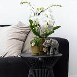 Kolibri Home | Retro groene bloempot - groene keramieken sierpot - Ø9cm - plantforyou.nl