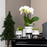 Kolibri Home | Le Chic bloempot - Witte keramieken sierpot met zilveren details - Ø9cm - plantforyou.nl