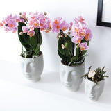 Kolibri Home | Face to face bloempot - Witte keramieken sierpot - Ø6cm - plantforyou.nl