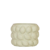 Kolibri Home | Citrus pot groen - Ø12cm - plantforyou.nl