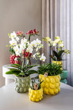 Kolibri Home | Citrus pot yellow - Ø12cm - plantforyou.nl