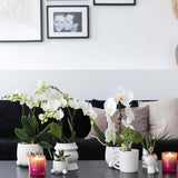Kolibri Home | Happy Mug bloempot - witte keramieken sierpot - Ø9cm - plantforyou.nl