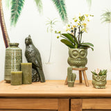 Kolibri Home | Owl bloempot - Groene keramieken sierpot - Ø6cm - plantforyou.nl