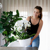 Kolibri Home | Honey dish wit - Keramieken planten schaal met honing patroon - geschikt als plantenbak - potmaat Ø30cm - plantforyou.nl