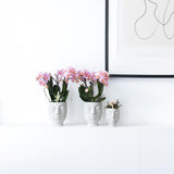Kolibri Home | Face to face bloempot - Witte keramieken sierpot - Ø6cm - plantforyou.nl