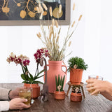 Kolibri Home | Retro terracotta bloempot - terracotta kleurige keramieken sierpot - Ø9cm - plantforyou.nl