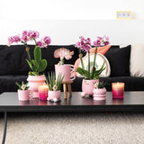 Kolibri Home | Happy Mug roze bloempot - roze keramieken sierpot - Ø9cm - plantforyou.nl