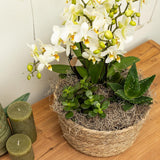 Kolibri Home | Reed Basket bloemschaal - Rieten gevlochten sierschaal - diameter Ø30cm - plantforyou.nl