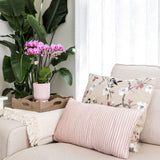 Kolibri Orchids | Plantenset Floral Blush pink small| Groene planten met Phalaenopsis orchidee in Floral Blush pink sierpotten en wit dienblad - plantforyou.nl
