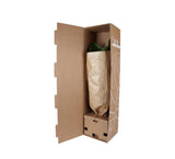 Dracaena Janet Lind Ø24cm ↕120cm in Albury BLACK print mand - plantforyou.nl