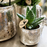 Kolibri Home | Luxury bloempot - Gouden keramieken sierpot - Ø6cm - plantforyou.nl
