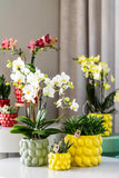 Kolibri Home | Citrus pot yellow - Ø6cm - plantforyou.nl