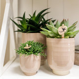 Kolibri Home | Glazed bloempot - Zandkleurige keramieken sierpot met glans - Ø6cm - plantforyou.nl