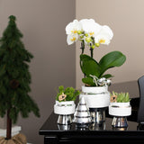 Kolibri Home | Le Chic bloempot - Witte keramieken sierpot met zilveren details - Ø9cm - plantforyou.nl