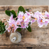 Kolibri Orchids | Plantenset Floral Blush pink small| Groene planten met Phalaenopsis orchidee in Floral Blush pink sierpotten en wit dienblad - plantforyou.nl