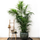 Pot Fabien Mystic Green - plantforyou.nl