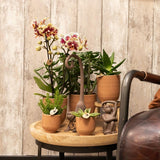 Kolibri Home | Glazed bloempot - Cognac keramieken sierpot met glans - Ø6cm - plantforyou.nl