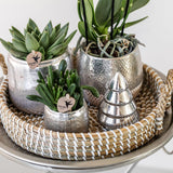 Kolibri Home | Elite silver pot - Ø9cm - plantforyou.nl