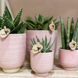 Kolibri Home | Glazed bloempot - Roze keramieken sierpot met glans - Ø6cm - plantforyou.nl