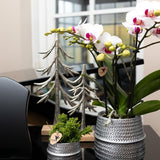 Kolibri Home | Groove bloempot - Gouden keramieken sierpot - Ø6cm - plantforyou.nl
