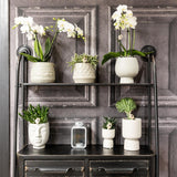 Kolibri Home | Face to face bloempot - Grijze keramieken sierpot - Ø6cm - plantforyou.nl