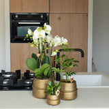 Kolibri Home | Groove bloempot - Gouden keramieken sierpot - potmaat - Ø9cm - plantforyou.nl