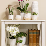 Kolibri Home | Glazed bloempot - Witte keramieken sierpot met glans - Ø12cm - plantforyou.nl