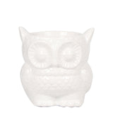 Kolibri Home | Owl bloempot - Witte keramieken sierpot - Ø9cm - plantforyou.nl