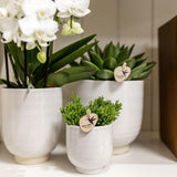Kolibri Home | Glazed bloempot - Witte keramieken sierpot met glans - Ø12cm - plantforyou.nl