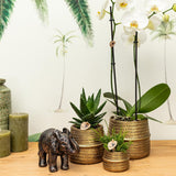 Kolibri Home | Groove bloempot - Gouden keramieken sierpot - potmaat - Ø12cm - plantforyou.nl