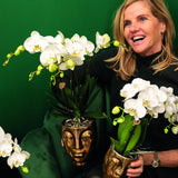Kolibri Home | Face to face bloempot - Gouden keramieken sierpot - Ø9cm - plantforyou.nl