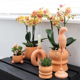 Kolibri Home | Rolling peach bloempot - Peach kleurige keramieken sierpot - Ø6cm - plantforyou.nl