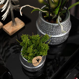 Kolibri Home | Groove bloempot - Gouden keramieken sierpot - Ø6cm - plantforyou.nl