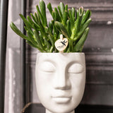 Kolibri Home | Face to face bloempot - Grijze keramieken sierpot - Ø6cm - plantforyou.nl