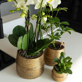 Kolibri Home | Groove bloempot - Gouden keramieken sierpot - potmaat - Ø12cm - plantforyou.nl