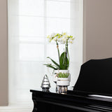 Kolibri Home | Le Chic bloempot - Witte keramieken sierpot met zilveren details - Ø6cm - plantforyou.nl