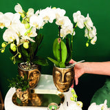 Kolibri Home | Face to face bloempot - Gouden keramieken sierpot Ø6cm - plantforyou.nl