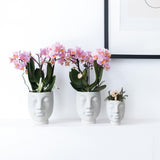 Kolibri Home | Face to face bloempot - Witte keramieken sierpot - Ø12cm - plantforyou.nl