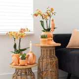 Kolibri Home | Rolling peach bloempot - Peach kleurige keramieken sierpot - Ø6cm - plantforyou.nl