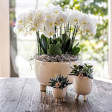 Kolibri Home | Gummy pot travertine - Ø9cm - plantforyou.nl